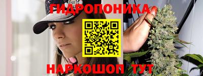 стафф Гусиноозёрск